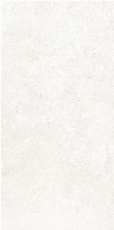 OL Limestone Bianco Matte 12 x 24